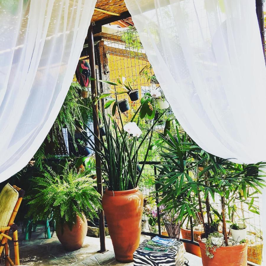 Recanto Toca Das Plantas De Ilhabela II エクステリア 写真