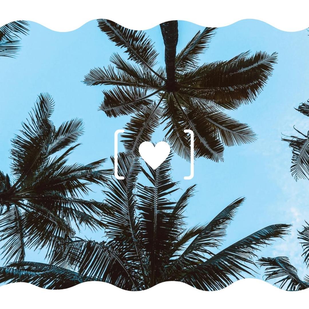 Recanto Toca Das Plantas De Ilhabela II エクステリア 写真