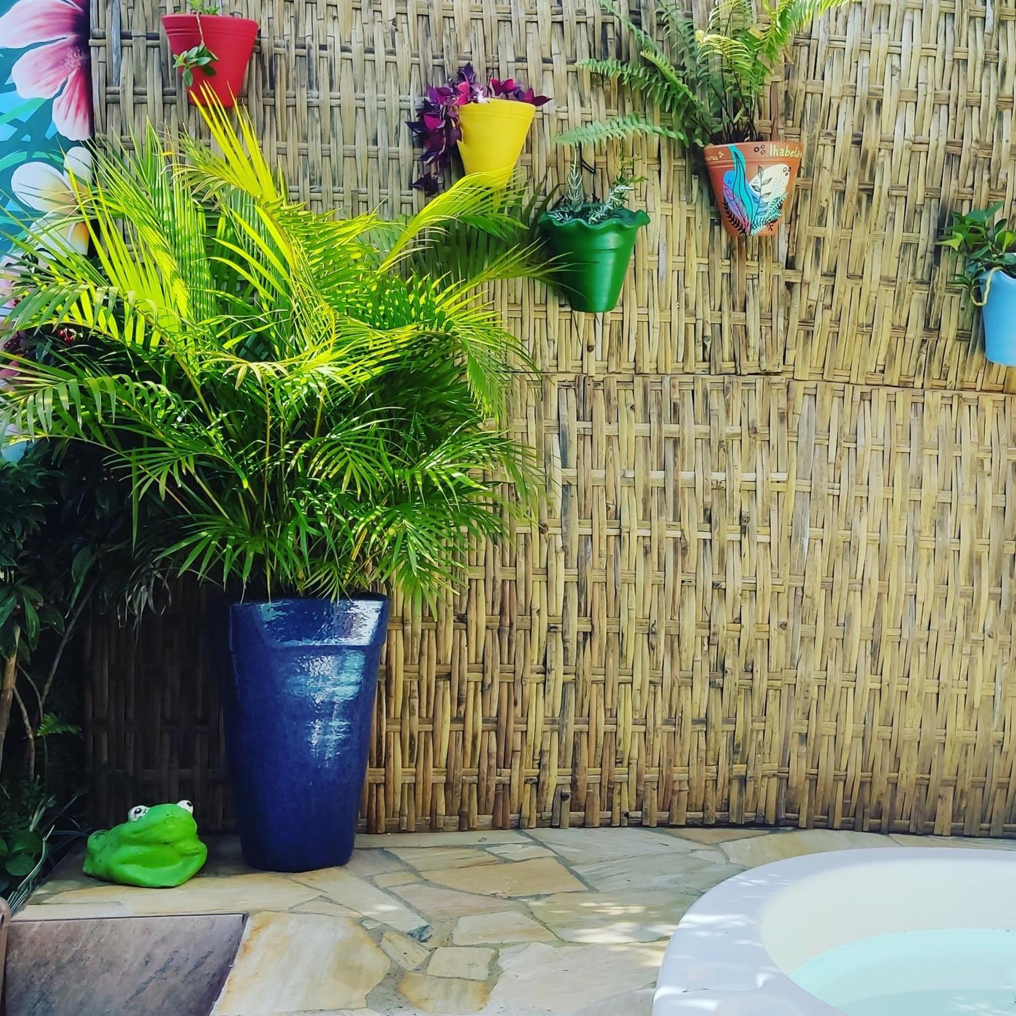 Recanto Toca Das Plantas De Ilhabela II エクステリア 写真