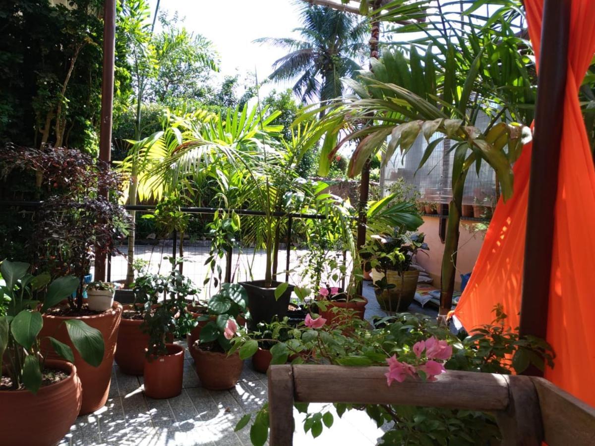 Recanto Toca Das Plantas De Ilhabela II エクステリア 写真